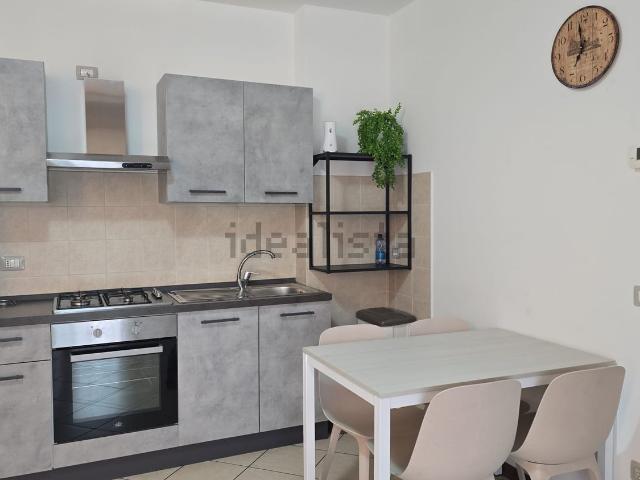 Appartamento in affitto di 48 m² in Viale Giacomo Matteotti