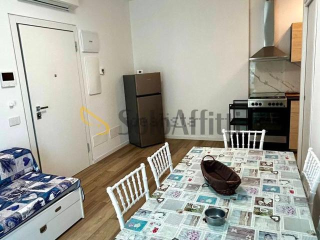 Appartamento in affitto di 50 m² in Viale Fucini