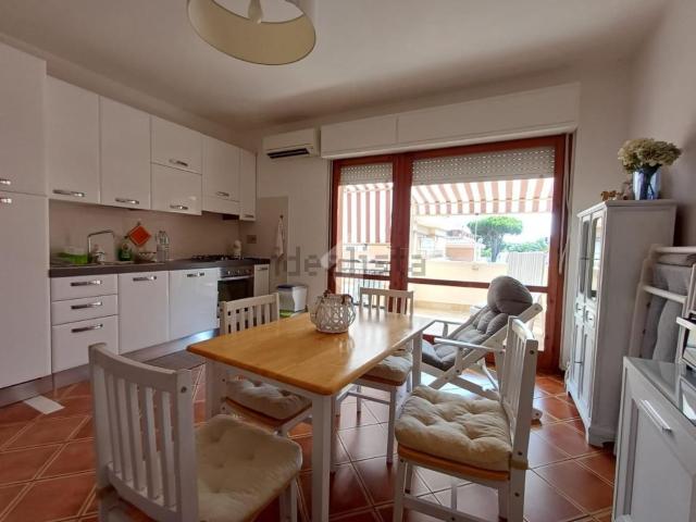 Appartamento in affitto di 50 m²