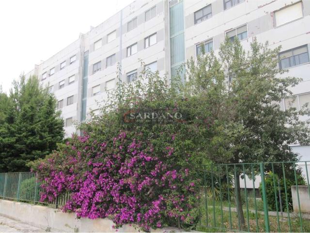 Appartamento in affitto di 54 m² in Viale Grecia