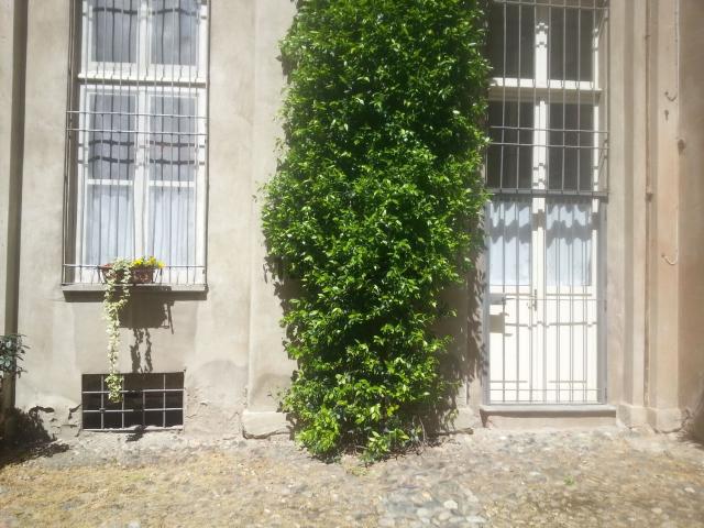 Appartamento in affitto di 55 m² in Via Rivetta, 43