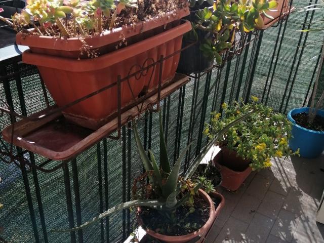 Appartamento in affitto di 60 m² in Via Caduti sul Lavoro