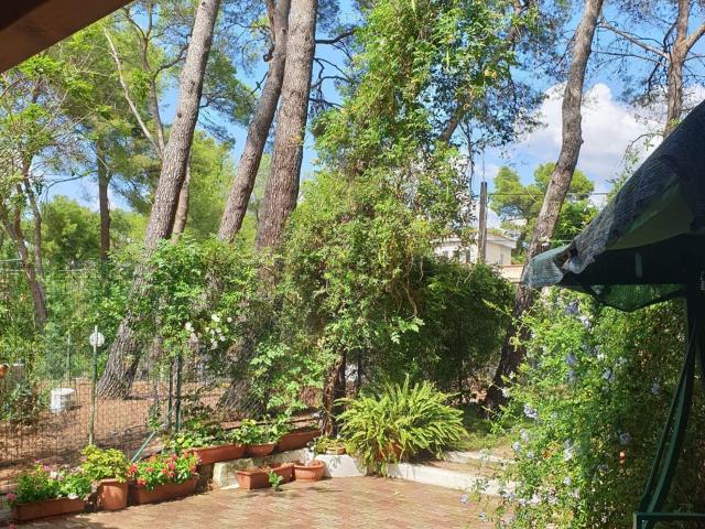 Appartamento in affitto di 60 m² in Via mare degli Umori