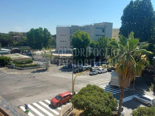 Appartamento in affitto di 60 m² in Viale Capitan Casella, 86