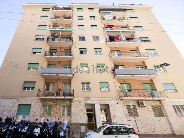 Appartamento in affitto di 62 m² in Via Pasquale Berghini, 11