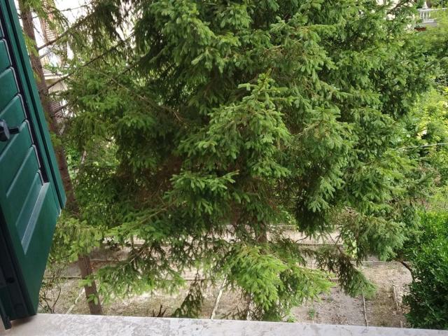 Appartamento in affitto di 80 m² in Via Villarey