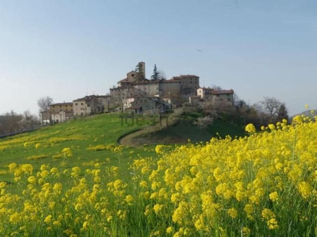 Appartamento in affitto di 80 m² in Via Casellina