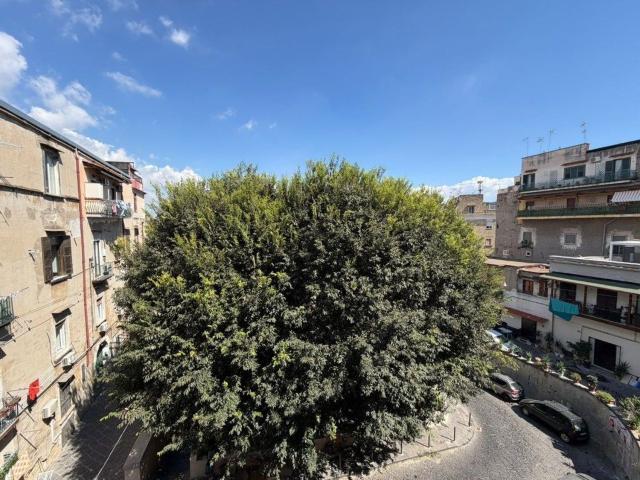 Appartamento in affitto di 80 m² in Via Cesare Rosaroll