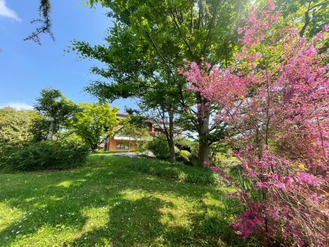Appartamento in affitto di 80 m² in Via Nino Costa, 6