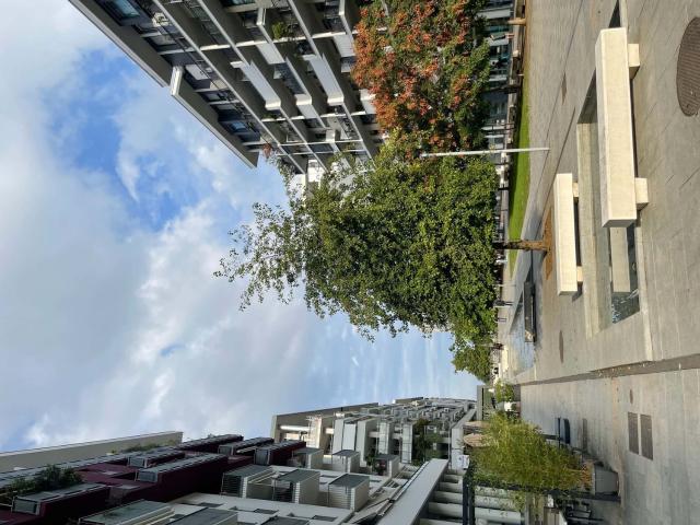 Appartamento in affitto di 90 m² in Via Bruno Cassinari, 7