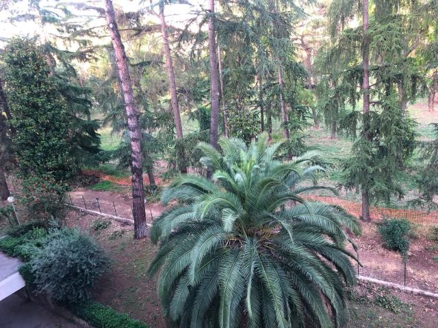 Appartamento in affitto di 90 m² in Via Gaspare Pacchiarotti