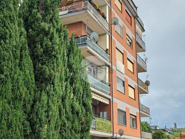 Appartamento in affitto di 100 m² in Via Mastruccia, 44
