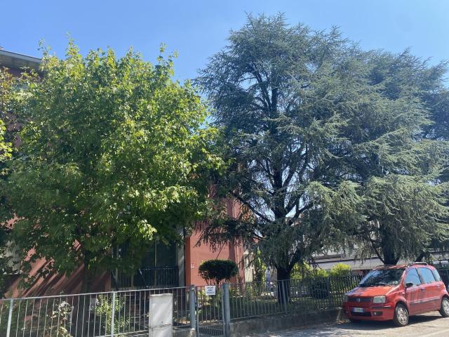 Appartamento in affitto di 100 m² in Strada Martinella
