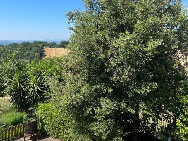 Appartamento in affitto di 100 m² in Strada Pareti