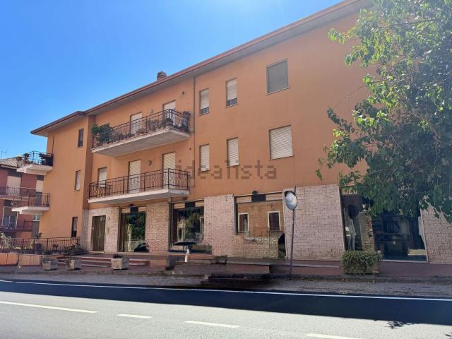 Appartamento in affitto di 110 m² in Via de Dominicis, 39