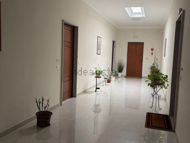Appartamento in affitto di 110 m² in Viale Elena
