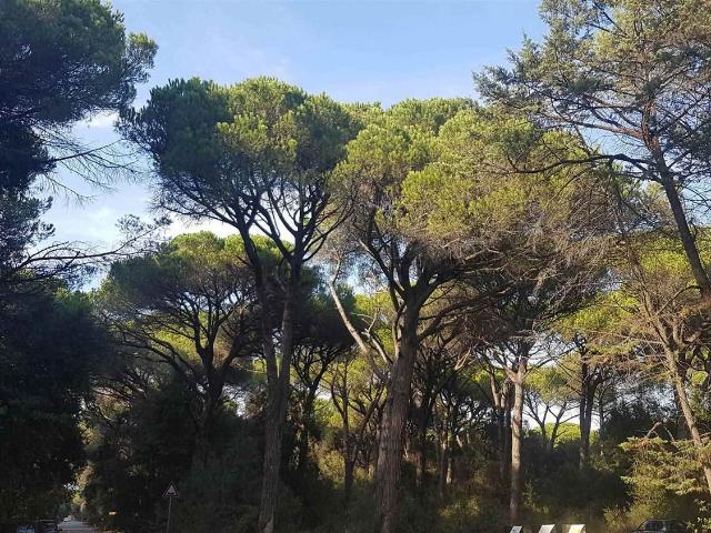 Appartamento in affitto di 120 m²