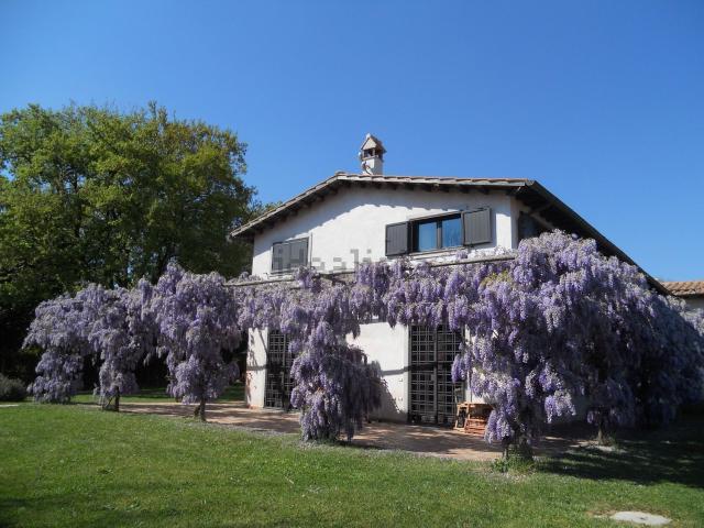 Appartamento in affitto di 120 m² in Via colli di baccanello