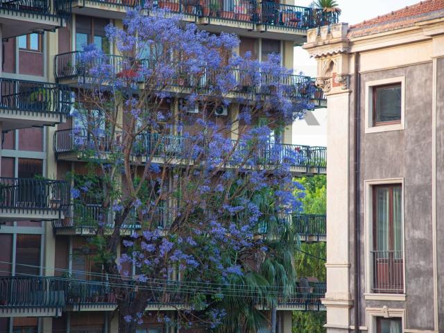 Appartamento in affitto di 121 m² in Via Gioacchino Basile, 6