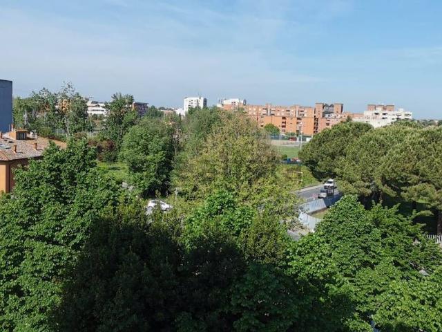 Appartamento in affitto di 130 m² in Via Francesco Pardi, 5