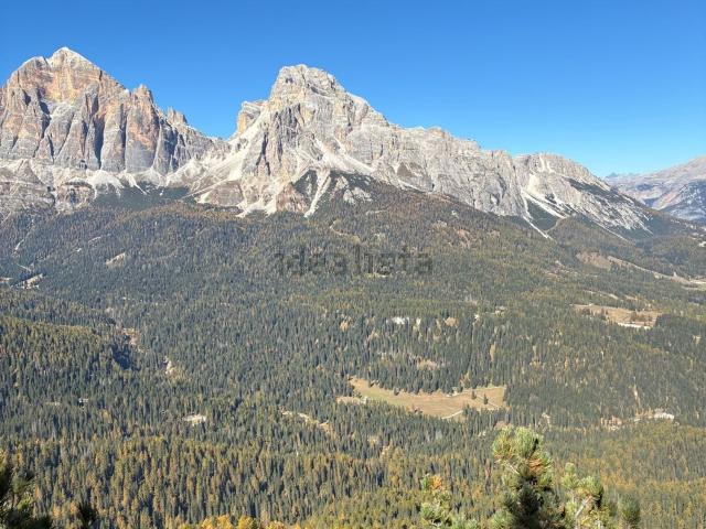 Appartamento in affitto di 160 m² in Località Alverà