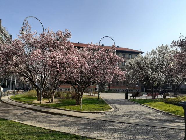 Appartamento in affitto di 230 m² in Via Mario Pagano
