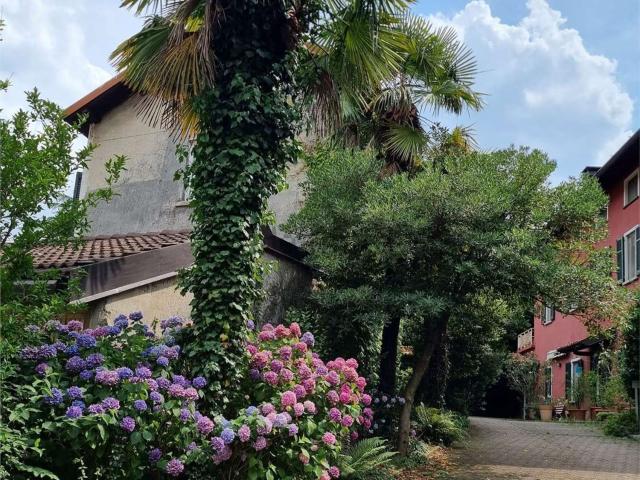 Appartamento in affitto di 270 m²