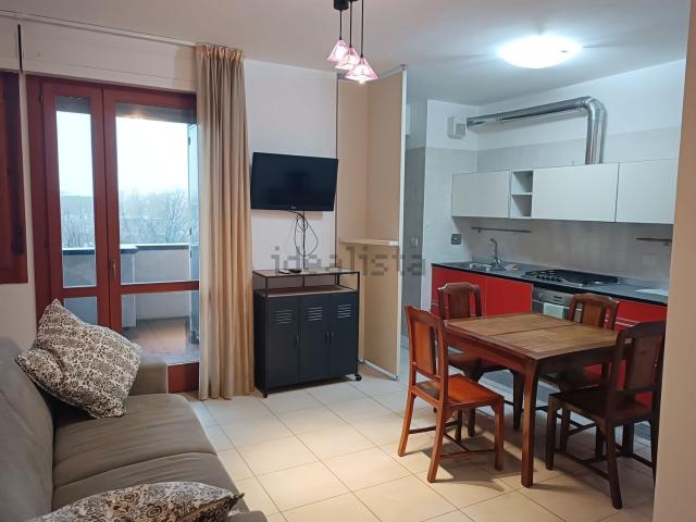 Appartamento in affitto di 30 m² in Via Mario Fantin, 29