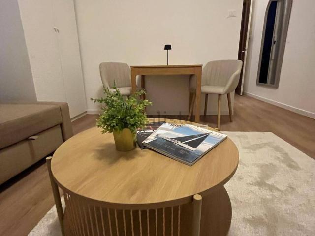 Appartamento in affitto di 31 m² in Via Cristoforo Cancellieri, 5