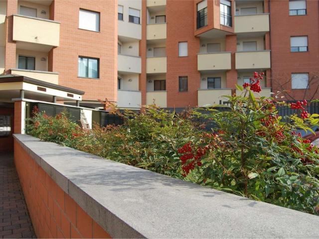 Appartamento in affitto di 37 m² in Via Pontida, 14
