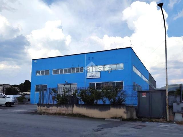 Appartamento in affitto di 350 m² in Via Emanuela Setti Carraro, 1