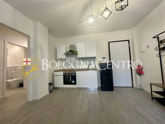 Appartamento in affitto di 35 m² in Via Martin Luther King, 38