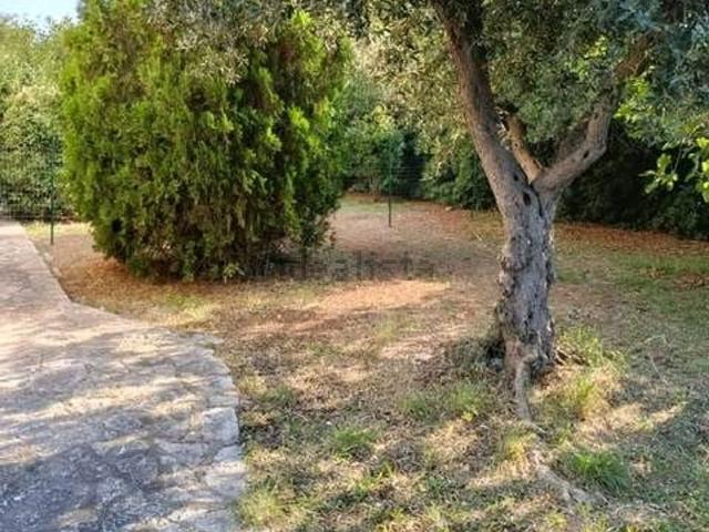 Appartamento in affitto di 35 m²