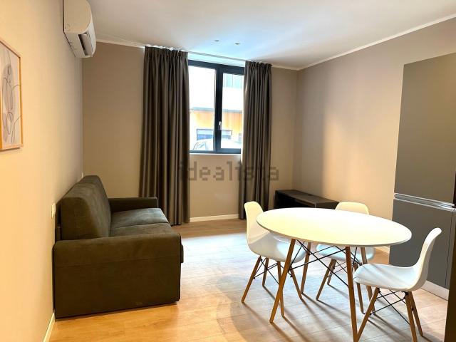Appartamento in affitto di 38 m² in Via Teodoro Frizzoni, 8