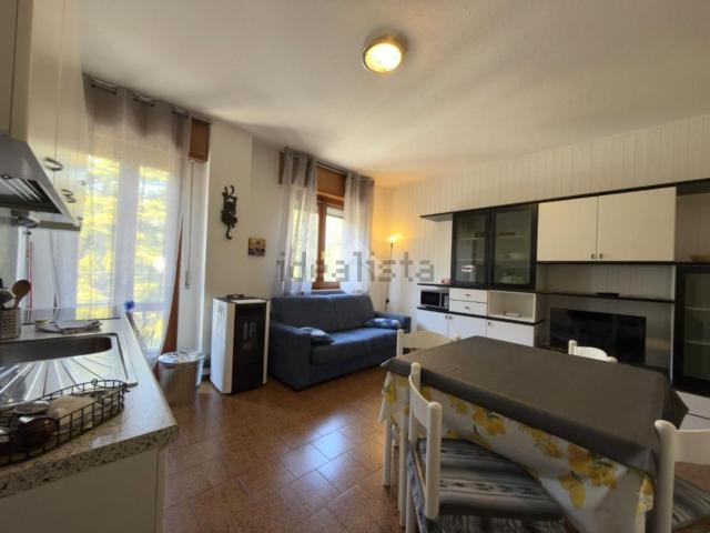 Appartamento in affitto di 38 m² in Via Vanoni, 21
