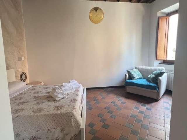 appartamento in affitto in Trastevere, Roma 1 camera da letto