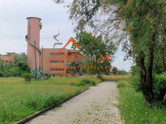 Appartamento in Affitto Pisa viale del tirreno