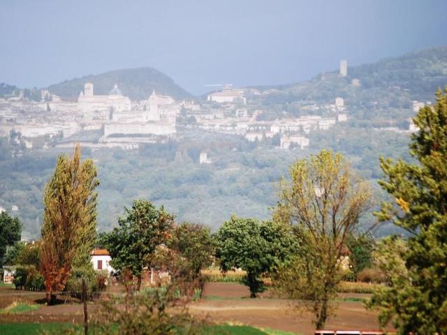 Appartamento in affitto settimanale|Umbria,Assisi