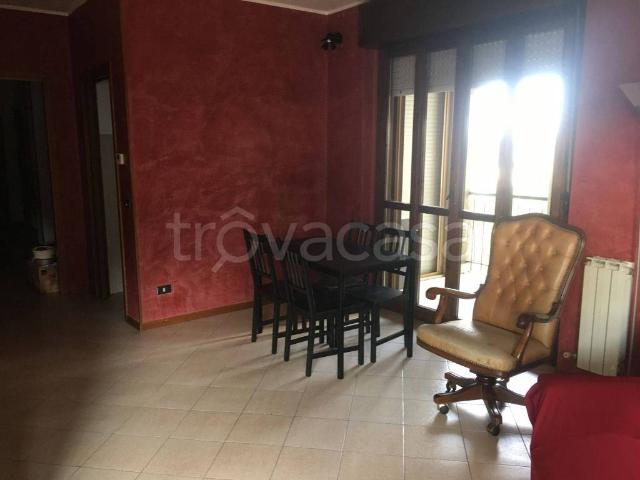 Appartamento in in affitto da privato a Cologno Monzese viale Lombardia, 117, da privato, vista giardino, possibilità box TrovaCasa