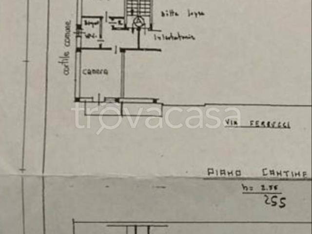 Appartamento in in affitto da privato a Collegno via Francesco Ferrucci, 0, arredato, da privato, doppia esposizione TrovaCasa