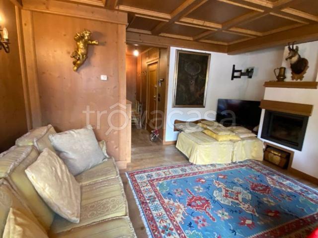 Appartamento in in affitto da privato a Cortina d'Ampezzo via Varentin, 1, box, da privato, vasca idromassaggio TrovaCasa