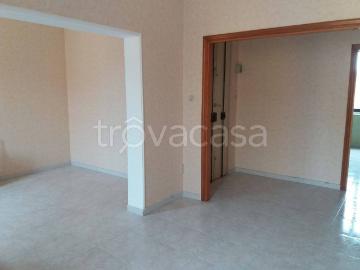 Appartamento in in affitto da privato a Catania via Cronato, 7, terrazzo, da privato, vicinanze negozi TrovaCasa
