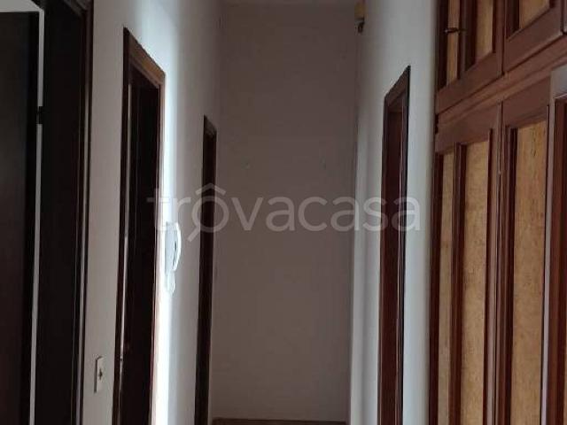 Appartamento in in affitto da privato a Catania via della Fiaccola, 14, terrazzo, da privato, ascensore TrovaCasa