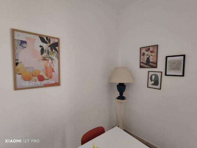Appartamento in in affitto da privato a Catania viale Ulisse, arredato, da privato, ascensore TrovaCasa