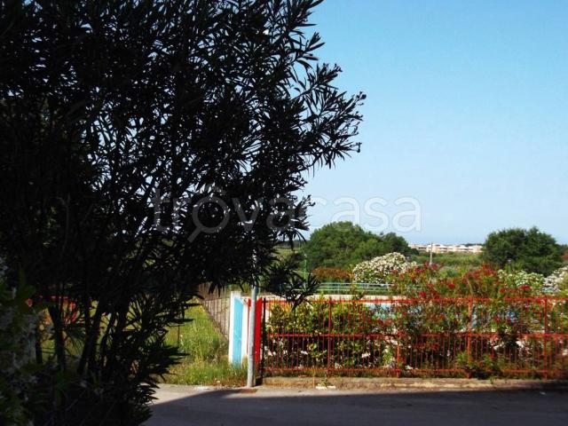 Appartamento in in affitto da privato a Campomarino cianaluca, arredato, giardino, da privato TrovaCasa