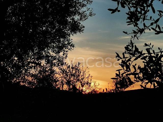 Appartamento in in affitto da privato a Campagnatico strada Comunale cantinelle pian della Pila, 23, giardino, posto auto, da privato TrovaCasa