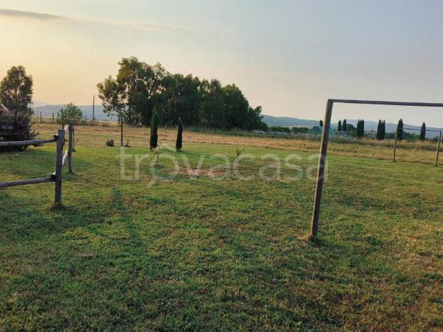 Appartamento in in affitto da privato a Capalbio strada Valmarina, 4, giardino privato, da privato, doppi servizi TrovaCasa