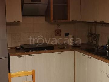 Appartamento in in affitto da privato a Casamassima via Professor Achille Orofino, 23, arredato, da privato, studio TrovaCasa