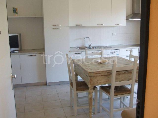 Appartamento in in affitto da privato a Castagneto Carducci via Po, 97D, da privato, nuova costruzione, zona residenziale TrovaCasa