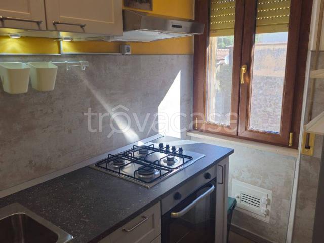 Appartamento in in affitto da privato a Castellina Marittima via Fratelli Rosselli, 13, da privato, nuova costruzione, ristrutturato TrovaCasa